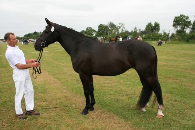Ktl. 76, Tasja Fjellerup 208333OL0800683 - 23 p. & ærespræmie - tilh. Erling Aabenhuus, Glesborg